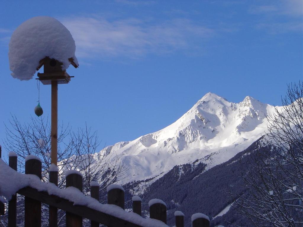 Haus Harbauer Apartman Neustift im Stubaital Kültér fotó